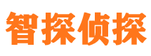 黄陂外遇调查取证